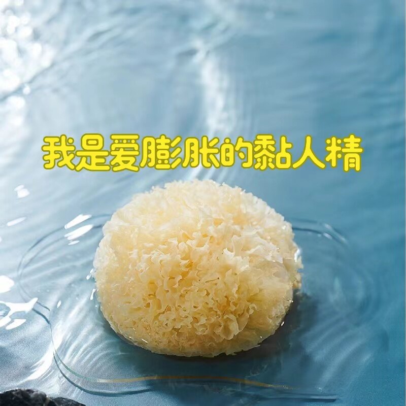 古田小跟班的LOGO