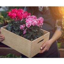 Solid wood storage box Storage box Rectangular king-size portable flower box slot debris finishing wooden box decoration box Xus