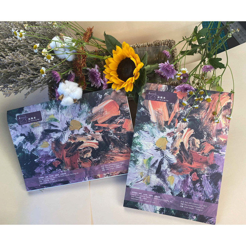 Baohong Painting Stick Special Painting This Oil Painting This Thickening 230gA4 Colored Pencil Sketching this graffiti This wax pen painting Benn