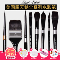 American Black Swan Watercolor Pen No. 6 No. 8 Squirrel Hair Watercolor Pen Round Head Painting Gou Liner Pen Travel Complete Set