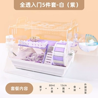 Полный вершина начинается с 5 частями, белоснежным пурпурным