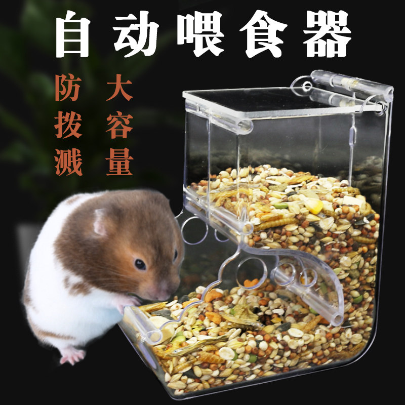 Usd 6 90 Hamster Automatic Feeder Small Dutch Supplies Gold Bear