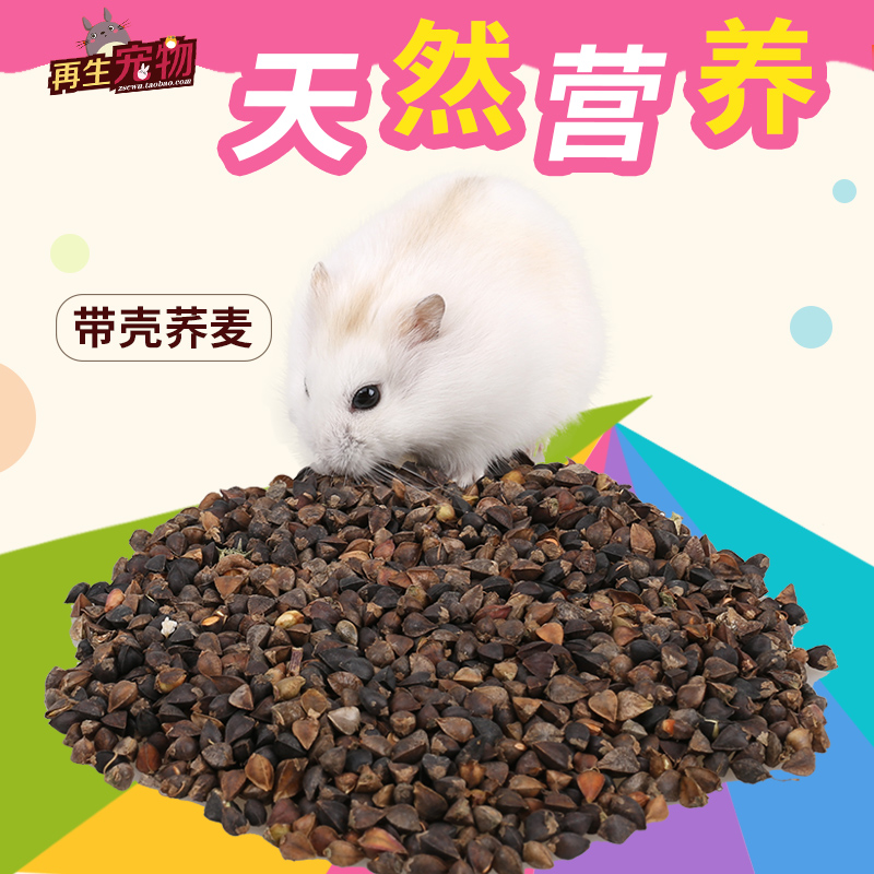 Regenerating Pet Hamster Grain Natural Cereals Hamster Grain Nutrient Rich Dietary Fiber With Shell Buckwheat 100G
