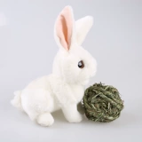 Кролик Тоторо Голландская свинья, Гвинея Дорч Той Той закуски Timosi Cao воплотил игрушечную травяную мяч