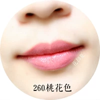 H26 (Черная Гуана 260) Шили Пич Цвет