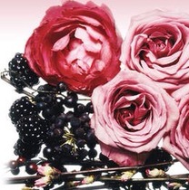 you fei bu cha price link