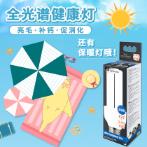 Bird system parrot supplies bird light UVB thermal insulation heating full spectrum calcium supplement anti-bite lamp