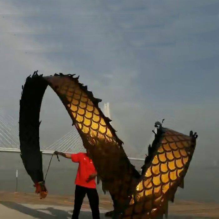 Diabolo dance dragon ribbon dragon fitness exercise for the elderly dragon dance square dragon lantern hand dragon throwing dragon streamer dragon mall performance