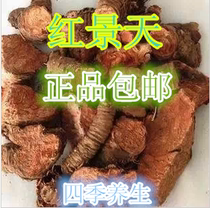 Rhodiola rosea entière grande fleur Rhodiola rosea thé naturel tibétain sans capsule phytothérapie chinoise anti-haut réflexe 500g