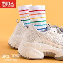 Socks Children Summer Thin Middle Cylinder Socks Summer White Sports Spring Autumn Day Ensemble Rainbow Socks Long Socks Extras