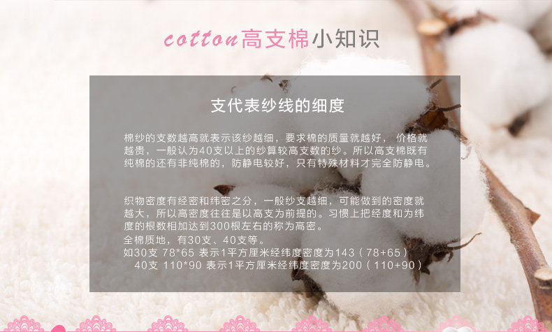 Slip jeunesse NG16811 en coton - Ref 669228 Image 15