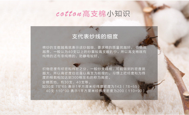 Slip jeunesse NF14X25047 en coton - Ref 666079 Image 12