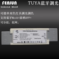 Al LOT smart power support Graffiti tuya Bluetooth Mesh sky cat elf Xiao Wei Alexa dimming toning