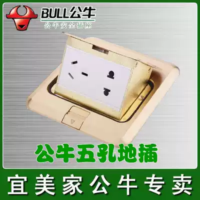 Bull switch socket panel pin plug 10A five-hole socket one-piece dial-on ground plug special price waterproof
