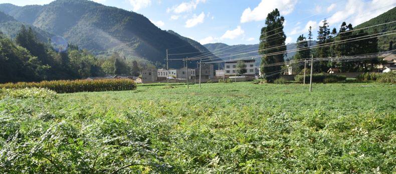 图片关键词 图片关键词