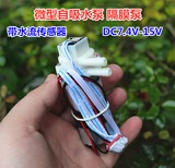 Micro -Self -Absorbent Pump Насосная насоса с датчиком трансмиссии воды 370 двигатель DC12V