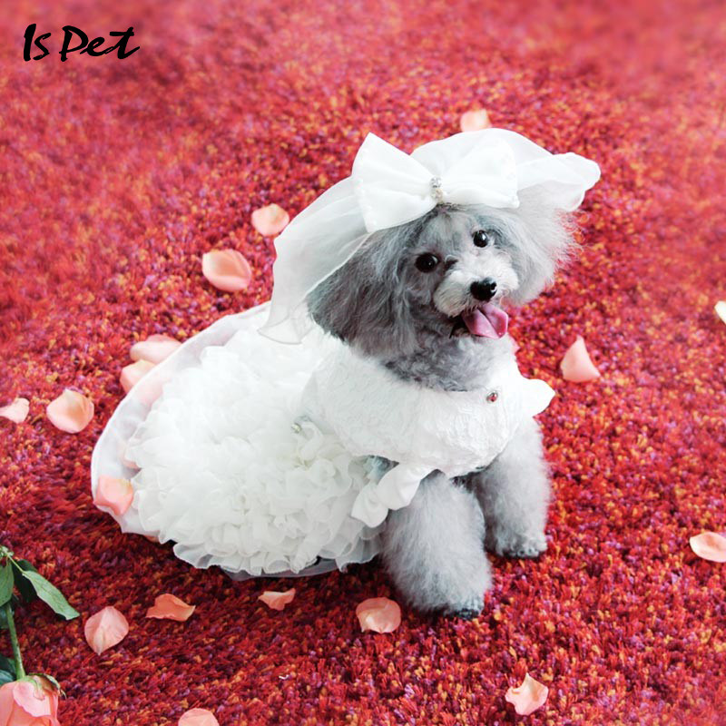 ISPET Pet Dog Dress Wedding Dress Teddy Bear Small Dog Cute Princess Married Dress