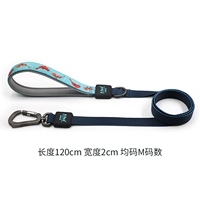 CL0092 (баолан) ширина 2 см.