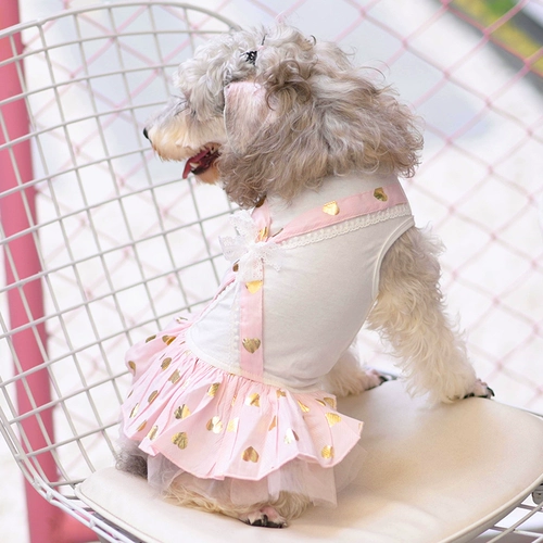 Летняя милая юбка, платье для принцессы, юбка-пачка