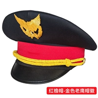 Старая железная ткань без шляпа-звезда орла