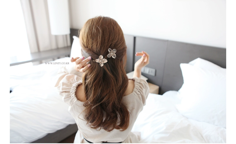 Trang sức Hàn Quốc tinh tế kim loại hoa flash kim cương công chúa tóc clip clip bên clip đầu clip bangs clip phụ nữ tóc tiara khóa ếch - Phụ kiện tóc
