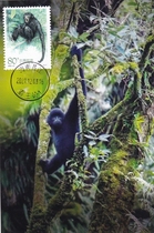 2002-27 Black Gibbons limit sheet Single pin Non-first-day-in-place date stamp