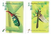 Hong Kong Insects Stamped Postcards Set of 4