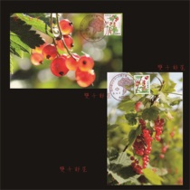 2024 Japanese Flower Series Gooseberry Japanese Extreme Film 2 Pieces Set