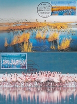 2023-7 The 50th Anniversary of the Establishment of Diplomatic Relations between China and Spain Hengshui Lake Extreme Film 2 Complete Scenery Postmark Commemorative Postmark