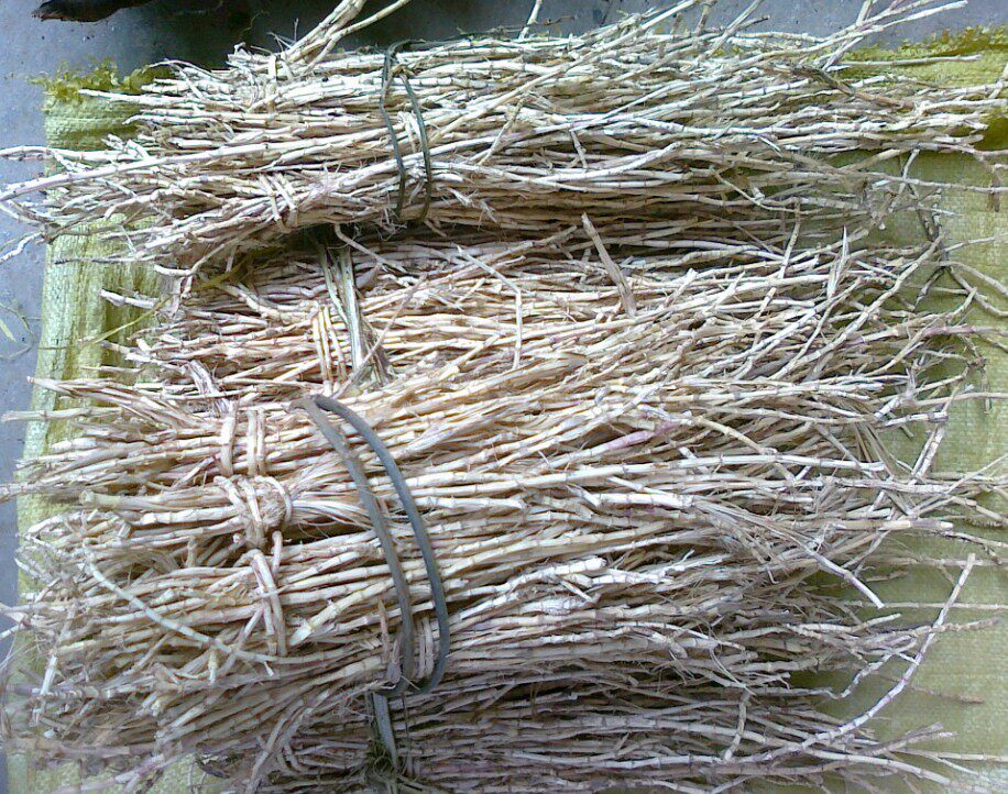 Chinese herbal medicine white Mao root white hairy root hugeu root thatch grass root new goods dry pint 500 gr