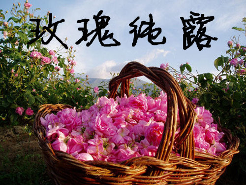 Rose pure dew distillation extraction (light fragrance type) 100ml