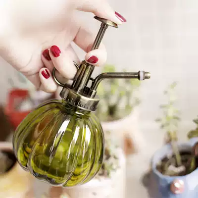 Potted fleshy gardening air-pressure sprinkler kettle watering pot watering flower pot sprayer glass retro watering can