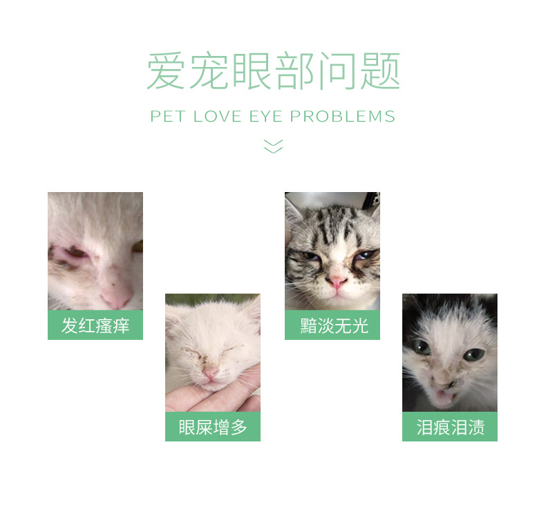 Mắt mèo Kang yêu thích mới Shu mèo có thuốc nhỏ mắt 60ml để mí mắt chảy nước mắt Rửa mắt - Thuốc nhỏ mắt nước nhỏ dưỡng mắt