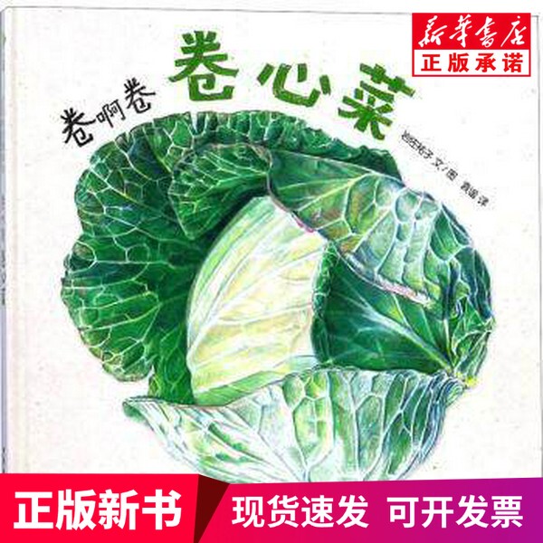 [Authentic New Book] Roll Up, Roll Up: Cabbage (Japanese) by Yuko Iwasa, Text/Illustrations, Children's Publishing House