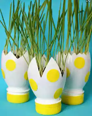 Waste utilization potted hydroponic plant container environmentally friendly manual container