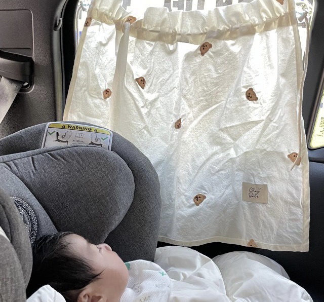 Custom INS Wind 2021N Korean Embroidery Car Curtains Shade Shade Shade Sun Shade Children Cotton Linen Sunscreen Sunscreen
