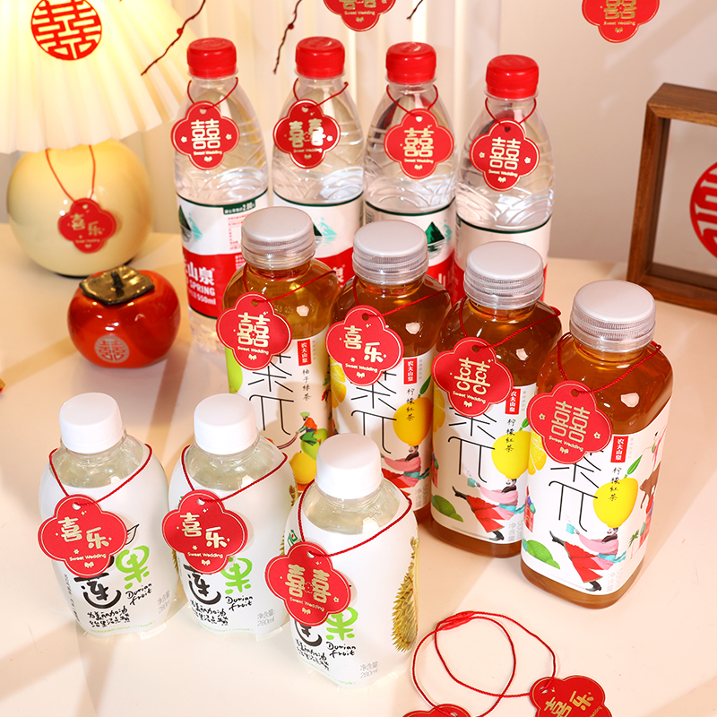 Wedding and hanging living room bedroom potted pieces wedding creativity potty wedding plant pendant