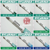 The lamp tube hyperlight pipe photohydrophilic aquarium star FHO T5HO 24w39W54 watts imported from Germany