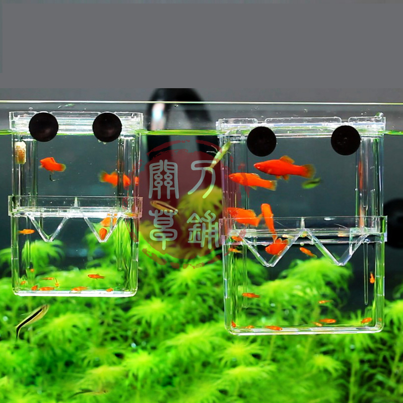Take 2 pieces with high transparent acrylic isolated box hatching box bred box juvenile fish eggs