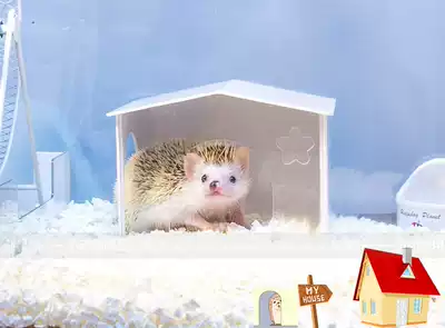 (Thorn planet) Hedgehog hamster Dutch spire hut shelter can be equipped with cotton pad double door acrylic hut