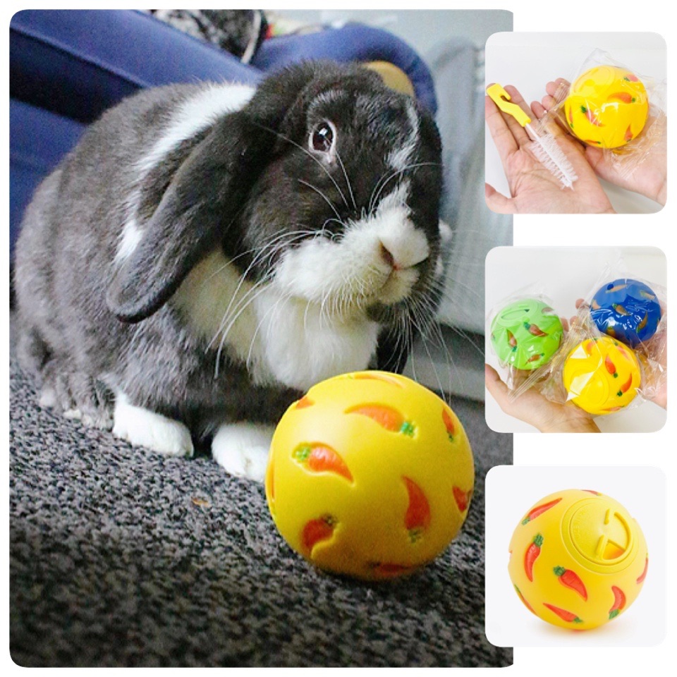 Thorn planet pet rabbit Guinea pig Chinchilla game leak ball toy Hamster Chinchilla Guinea pig boredom interactive