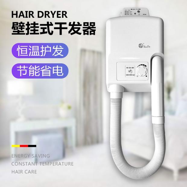 Shinda Hair Dryer Beauty Hair Dry Hair Dryer GDC-700 Wall-mounted Thermostatic Timing Hotel Home Bathroom