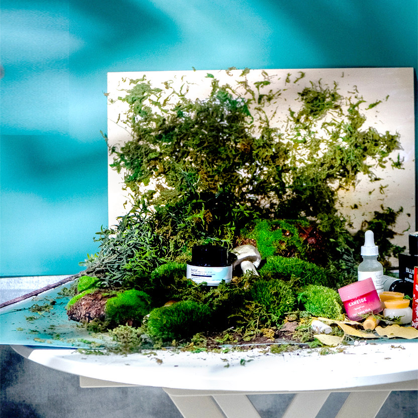 Senteo Pine Fruit Props Photography Shoot Outdoor Outdoor Green Foam Decoration Creative Suit Forest Photo Background