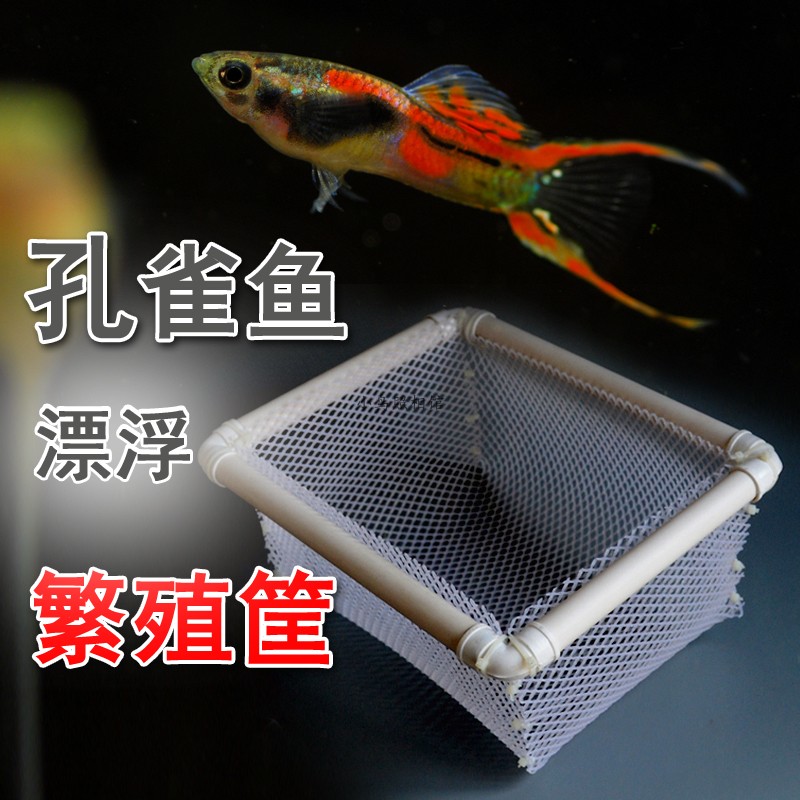 Guppy breeding basket self-floating fish factory with custom-made small fry  isolation net hatch box large fish tank