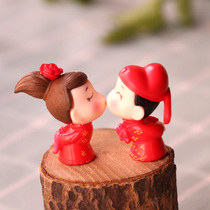Creative Groom Bride Doll model couple doll micro landscape succulent plant flower pot cake decorations ornaments