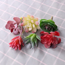 Simulation succulent plant lazy set green plant wall fake flower plastic flower home living room decoration combination