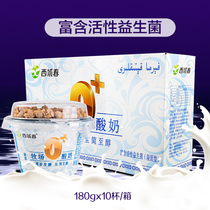 Western Spring Yogurt 0 Ranch Milk 180gx10 Cup Zero Add Xinjiang Old Yogurt Probiotics Full Fin Concentrate