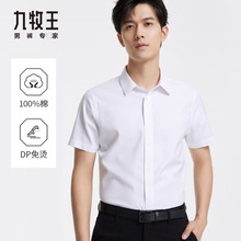 [DP Non ironing] Jiumu Wang Men's Formal Short sleeved Shirt 2024 Summer New Product Pure Cotton Easy to Care Anti Wrinkle Shirt