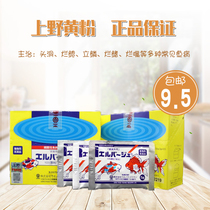 Japan Ueno yellow powder imported fish tank sterilization disinfection water purification Ornamental fish medicine Fish disease prevention Aquarium supplies