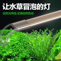 Sensen water straw light fish tank tonic light lamp aquarium floodlight blue white light LED straw cylinder build-up lamp high light transmission light